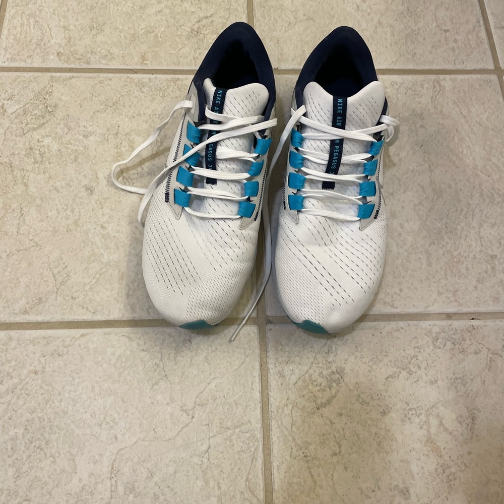 Men’s Nike Air Pegasus 38 Size 12